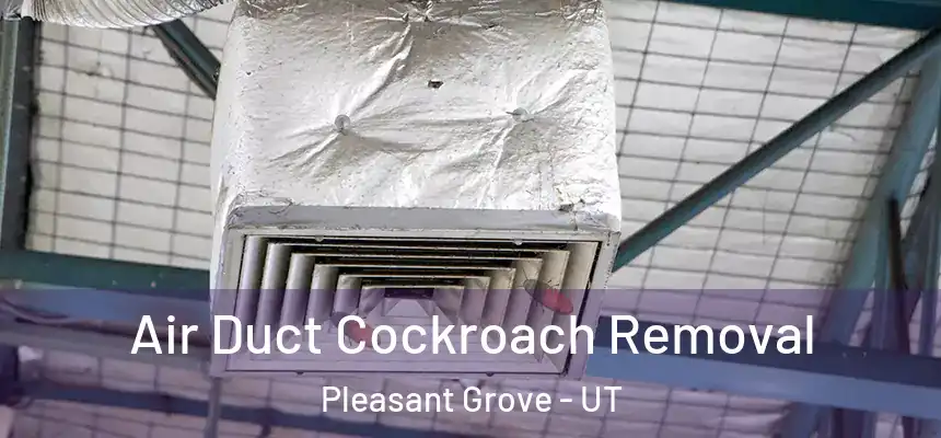 Air Duct Cockroach Removal Pleasant Grove - UT