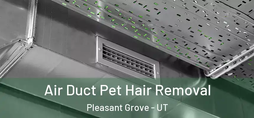  Air Duct Pet Hair Removal Pleasant Grove - UT