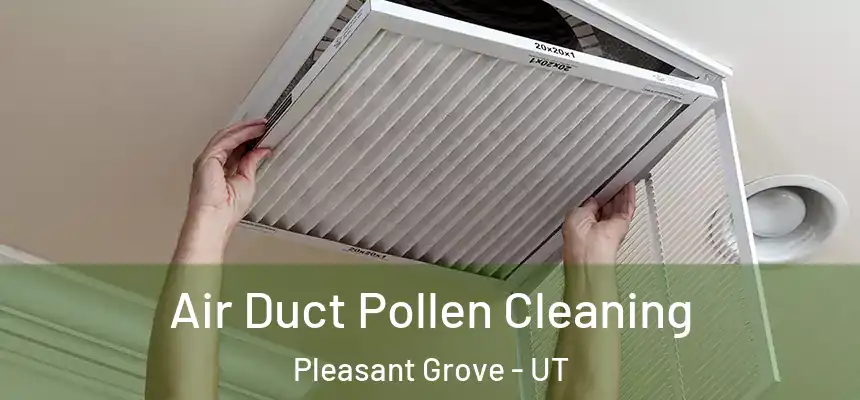  Air Duct Pollen Cleaning Pleasant Grove - UT