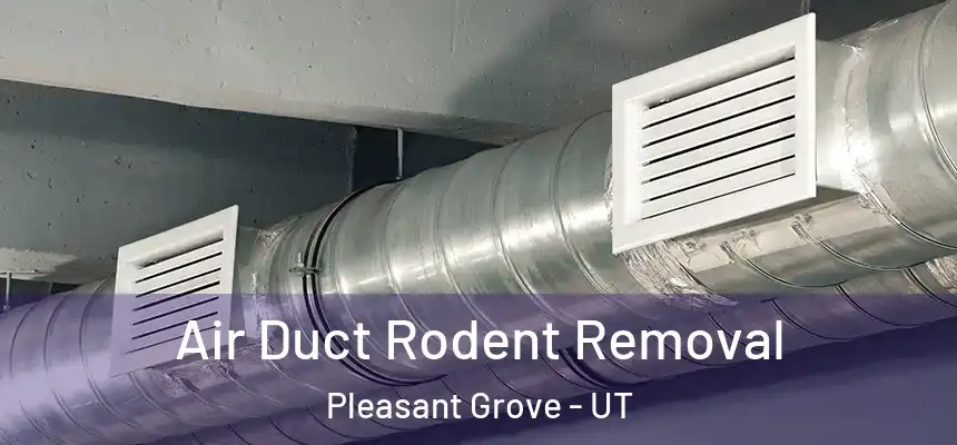  Air Duct Rodent Removal Pleasant Grove - UT