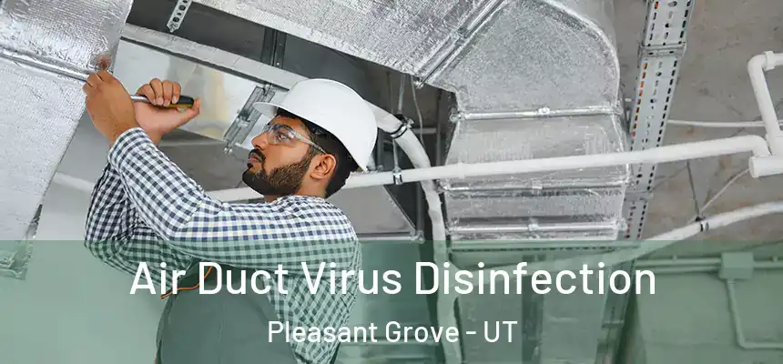  Air Duct Virus Disinfection Pleasant Grove - UT