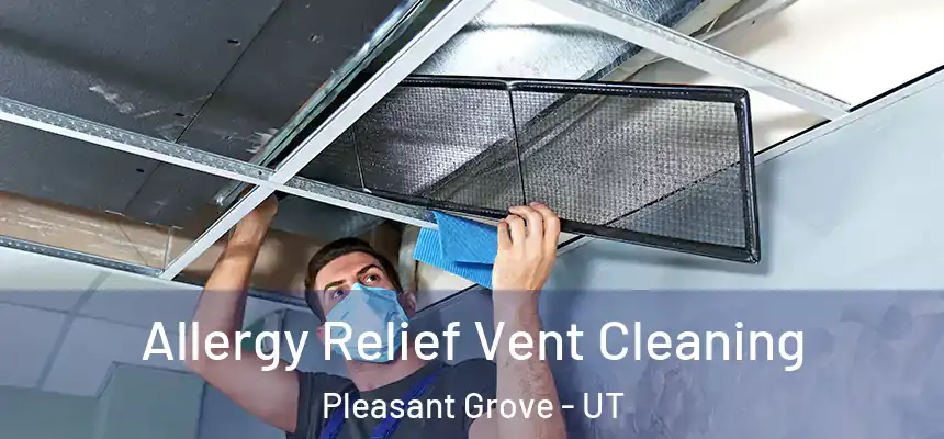  Allergy Relief Vent Cleaning Pleasant Grove - UT