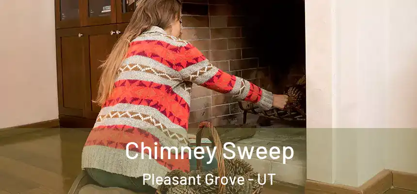  Chimney Sweep Pleasant Grove - UT