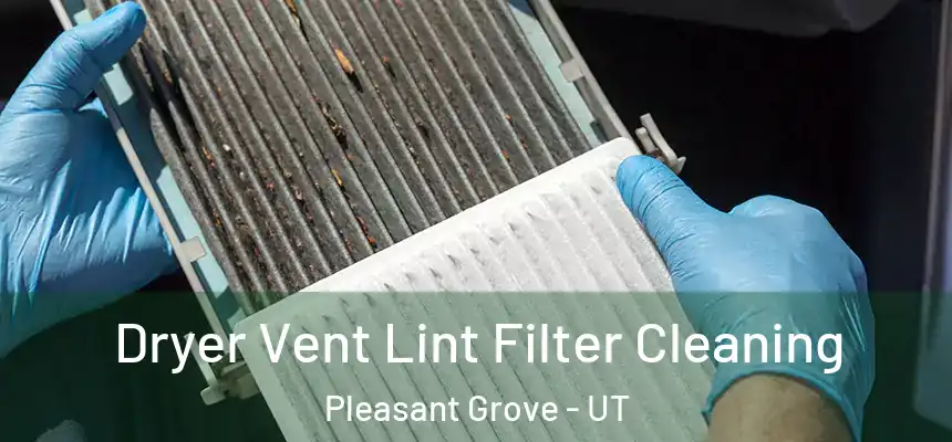  Dryer Vent Lint Filter Cleaning Pleasant Grove - UT