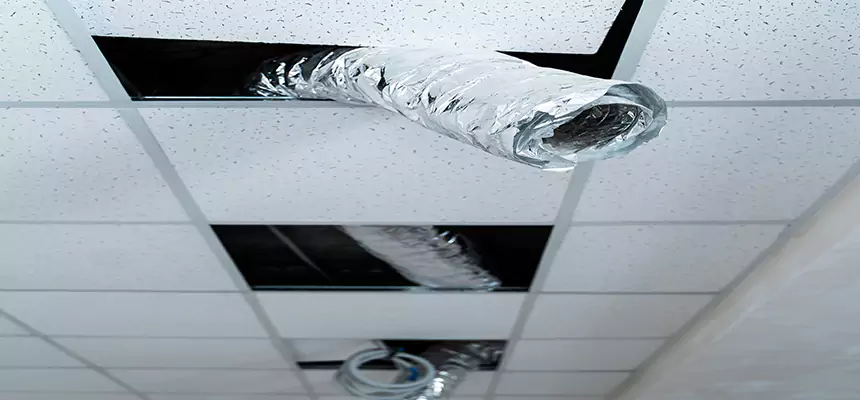 Affordable HVAC Sanitizing After Pest Removal in Pleasant Grove