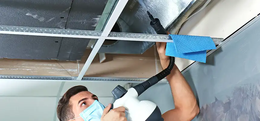 Our Air Duct Rodent Removal Services in Pleasant Grove, UT