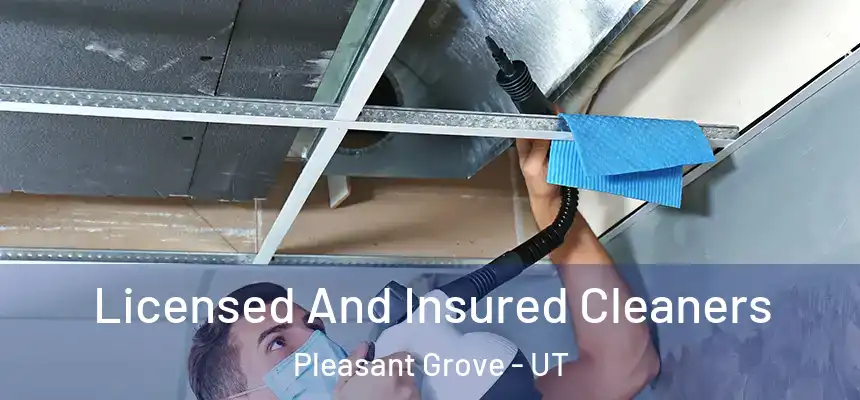  Licensed And Insured Cleaners Pleasant Grove - UT