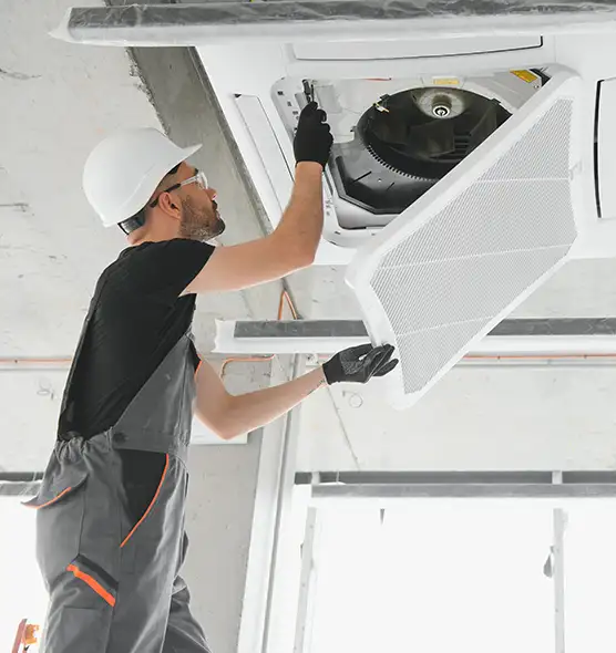 About Air Duct Rodent Removal in Pleasant Grove, UT