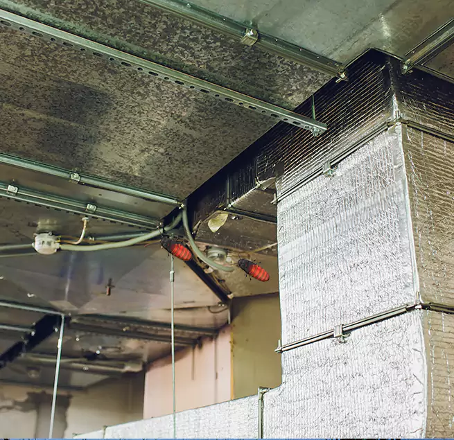 Why Homeowners & Businesses Trust Us in Pleasant Grove, UT?