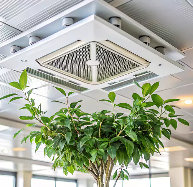 Why Homeowners & Businesses Trust Us in Pleasant Grove, UT?